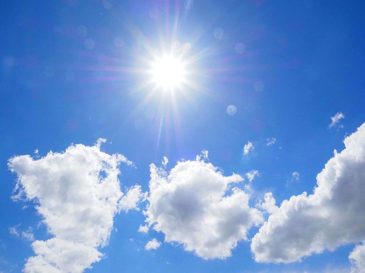 今年の夏はどこに行きますか？【買取 大井町 観光】
